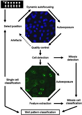 Standardization and Quality Assessment Under the Perspective of Automated Computer-Assisted HEp-2 Immunofluorescence Assay Systems